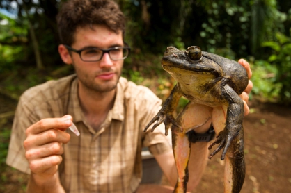 Kamerunské žáby